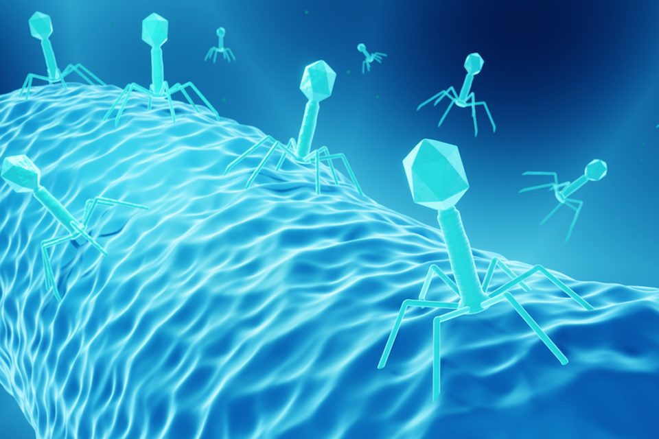 Pherecydes Pharma Announces the First International Approval of a Compassionate Treatment With Its Phages