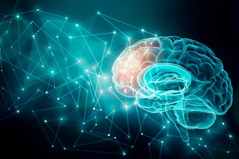 Seed Health and Axial Therapeutics Launch Gut-Brain Development Program