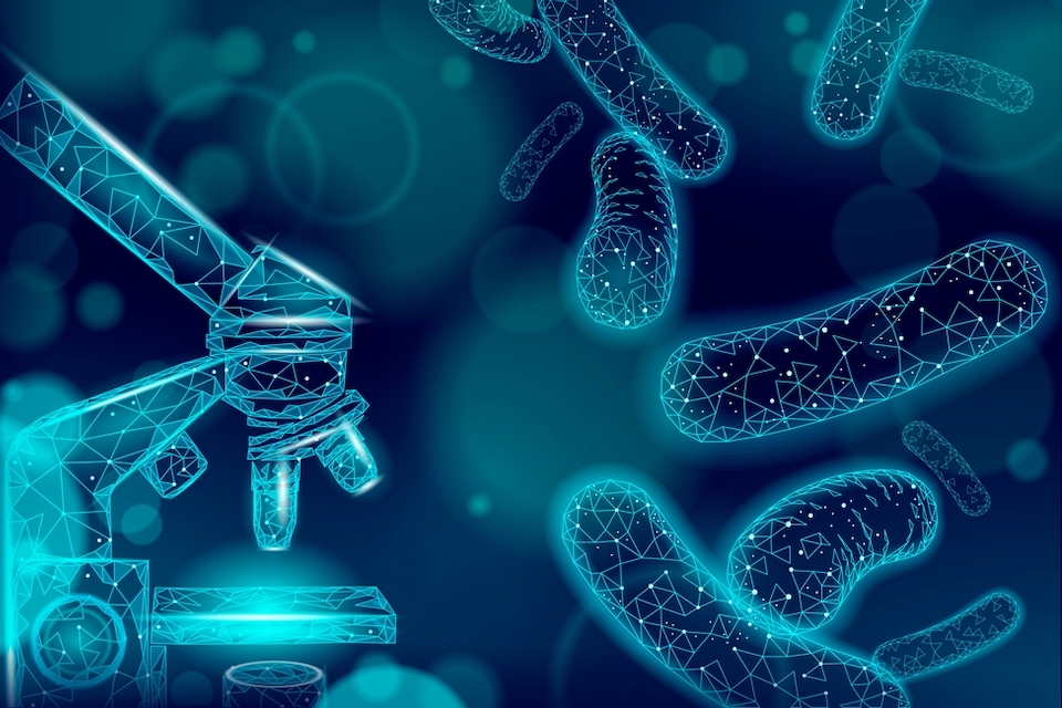 Boehringer Ingelheim and BiomX Collaborate to Discover IBD Microbiome Biomarkers