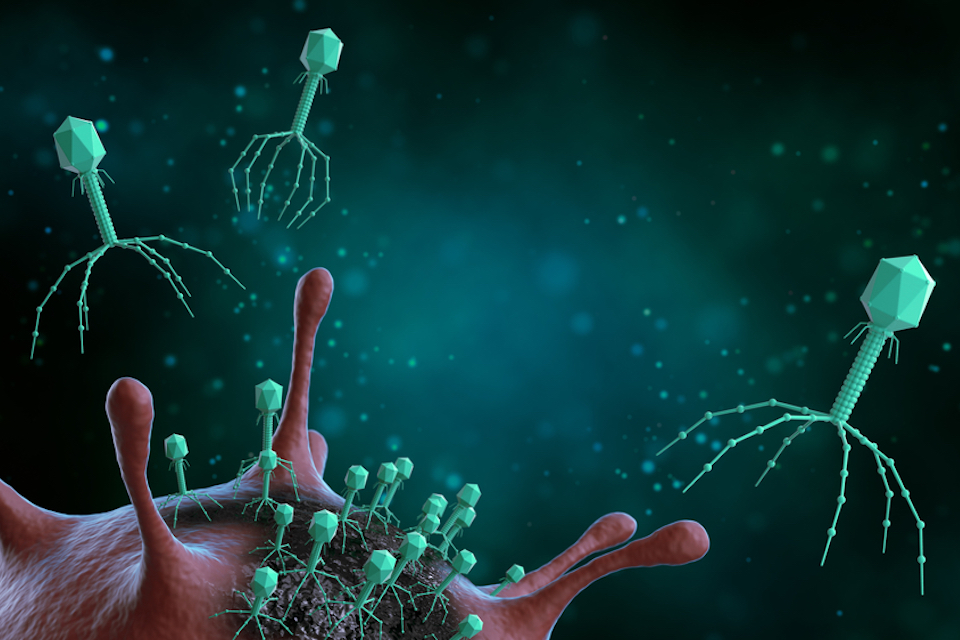 New needle-free nasal vaccine shows promise for COVID-19