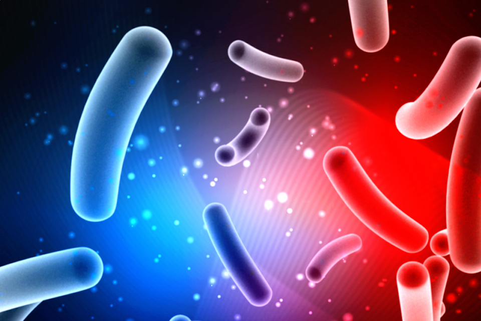 Phage resistant Escherichia coli strains developed to reduce fermentation failure