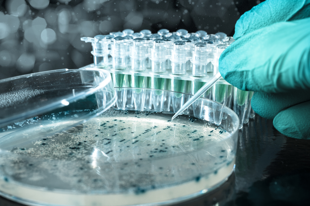 Pherecydes Pharma Announces Registration of Its in Vitro Diagnostic Test in Accordance With EC Directives