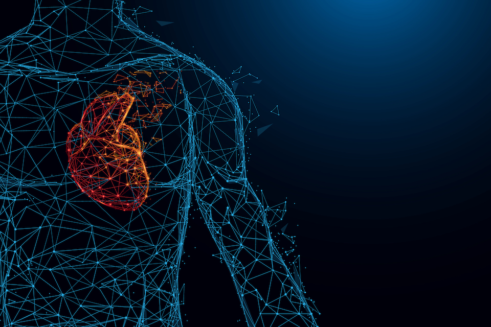 New study reveals DSM’s Fruitflow® activates gut-heart axis that can modulate gut microbiota leading to cardiovascular benefits