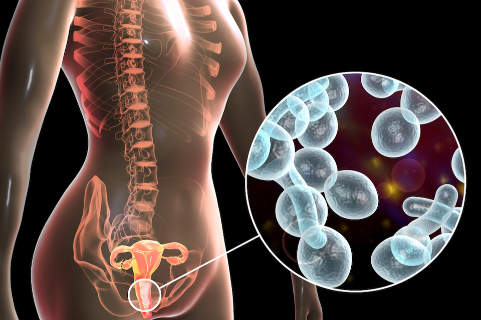 Proge Farm claims Europe’s first regulatory approval for a microbiome-based therapeutic