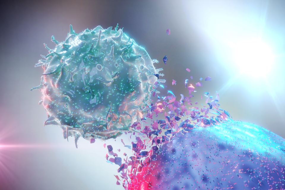 MD Anderson and Federation Bio to Develop Novel Microbiome Treatment for Patients with Immunotherapy-Resistant Cancers
