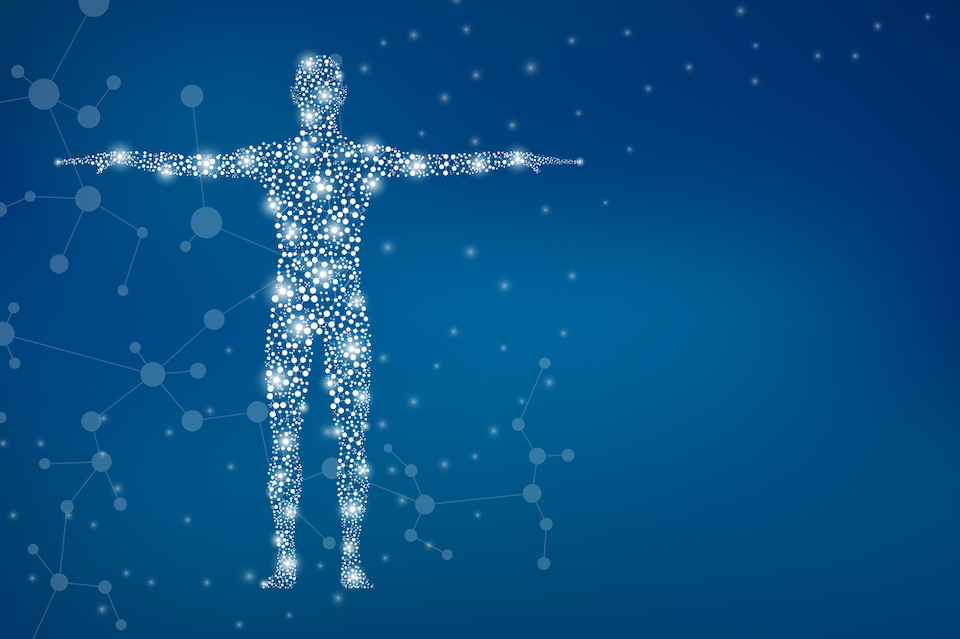 Call for Experts – A Survey on Microbiome-Based Biomarker Development