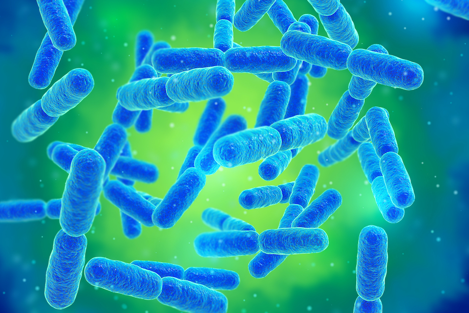 The right cocktail of gut enzymes can stop c. diff in its tracks
