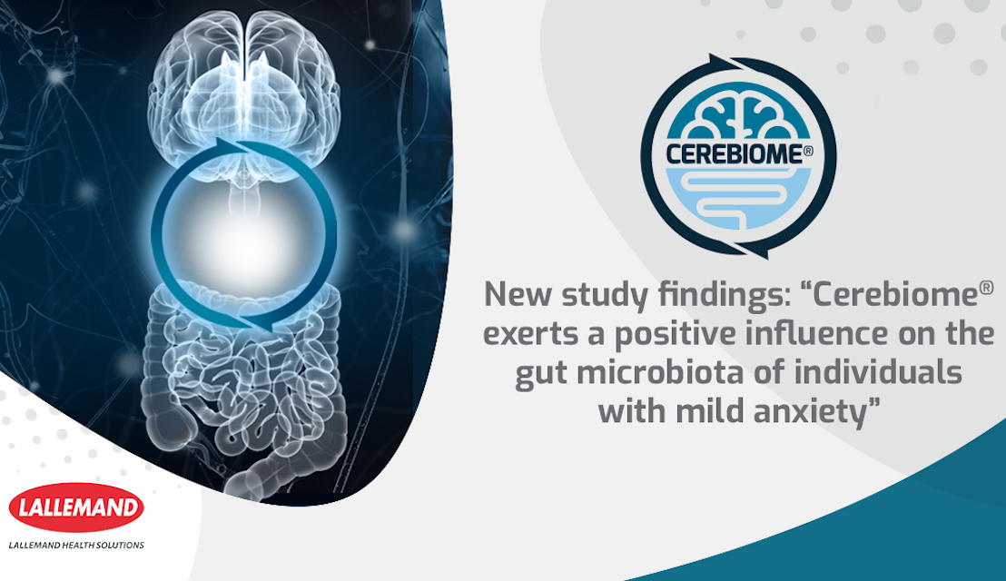 Cerebiome® exerts a positive influence on the gut microbiota of individuals with mild anxiety, new study finds