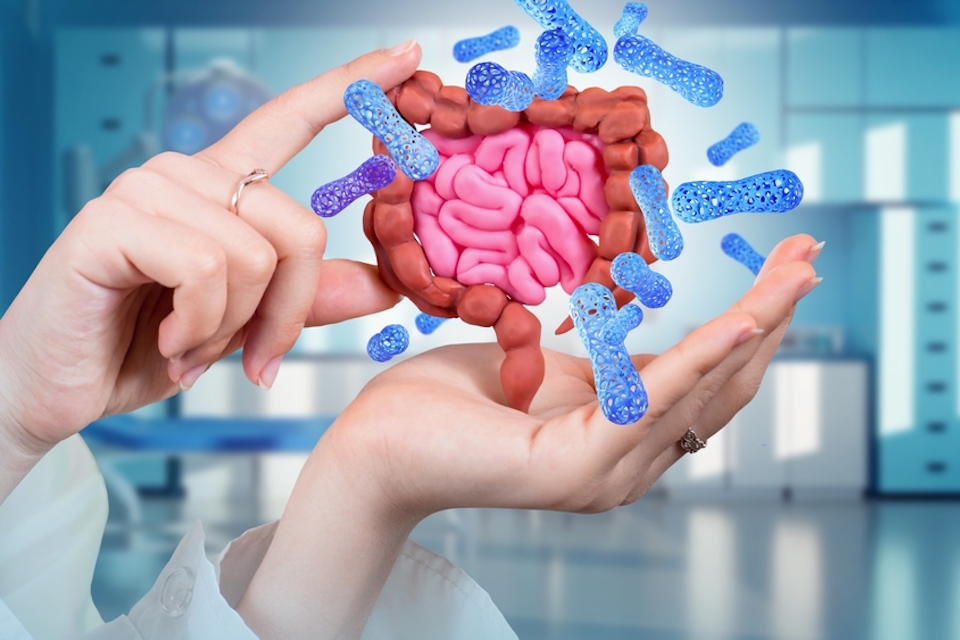 NIH launches largest precision nutrition research effort of its kind