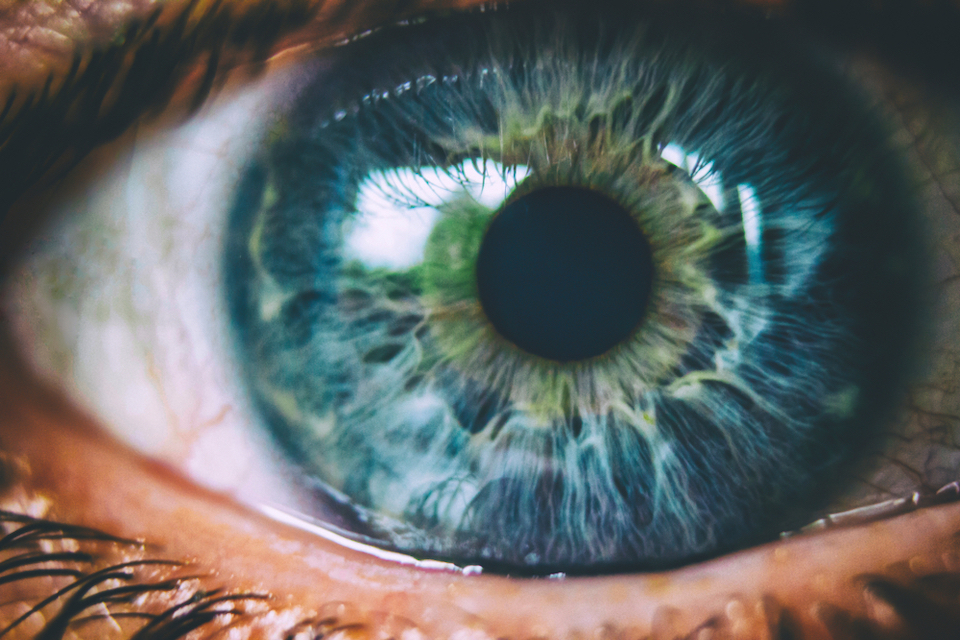 An oral probiotic can treat dry eye disease