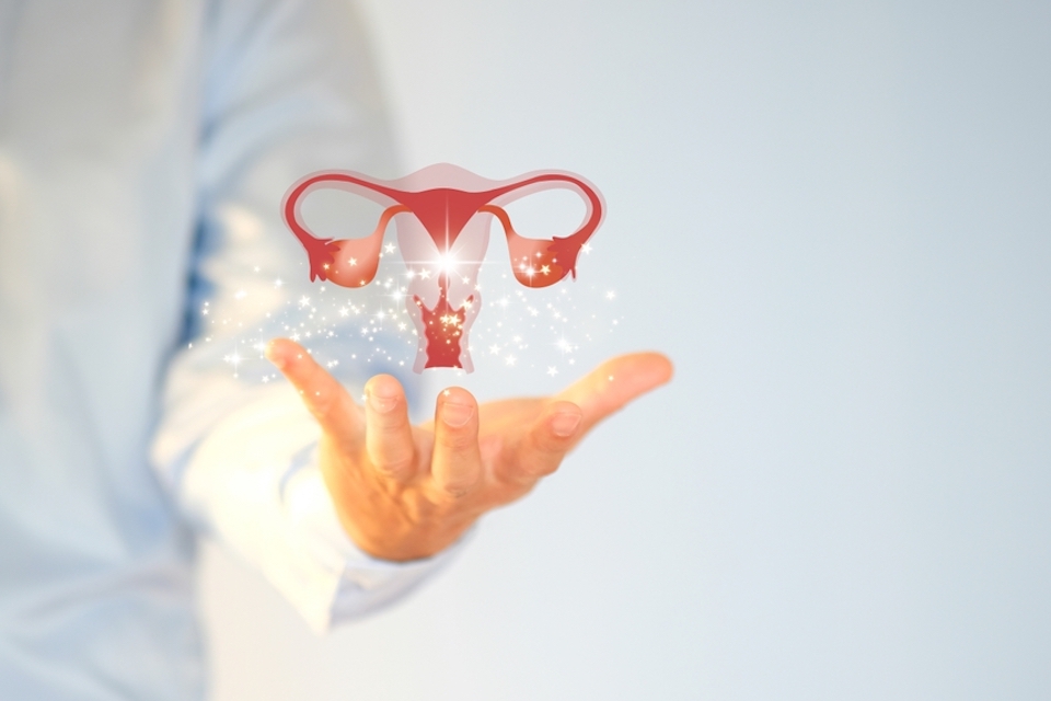Freya Biosciences Announces Positive Topline Clinical Trial Results for FB101 in Women with Asymptomatic Vaginal Dysbiosis