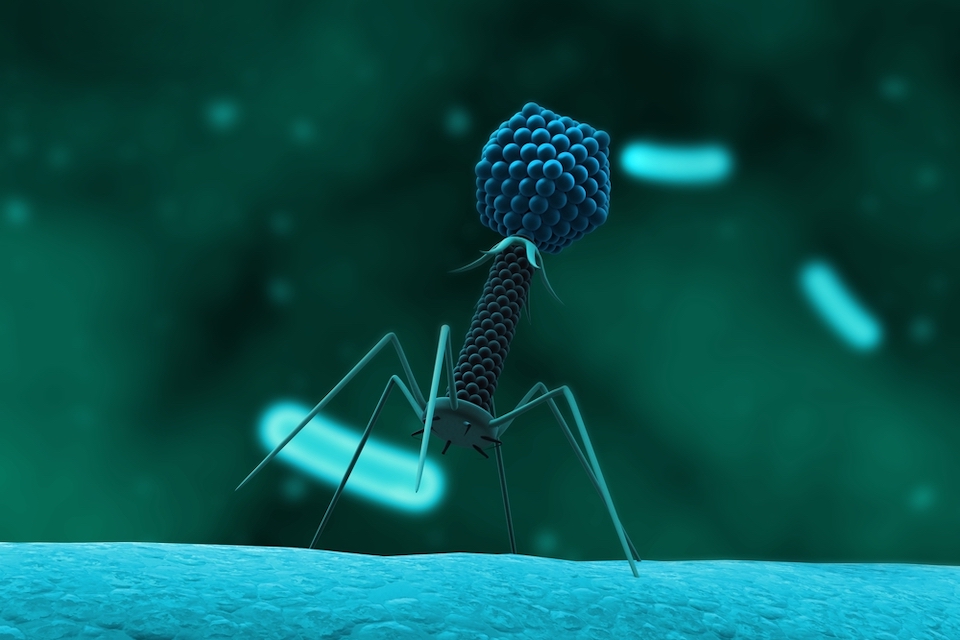 New biotech venture PHIOGEN, a spinoff of BCM’s TAILOR Labs