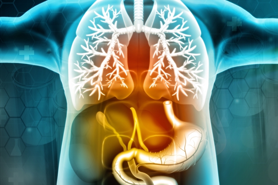 New study asserts resB® Lung Support improves lung function through microbiome-mediated mechanisms along the gut-lung axis in asthmatic population