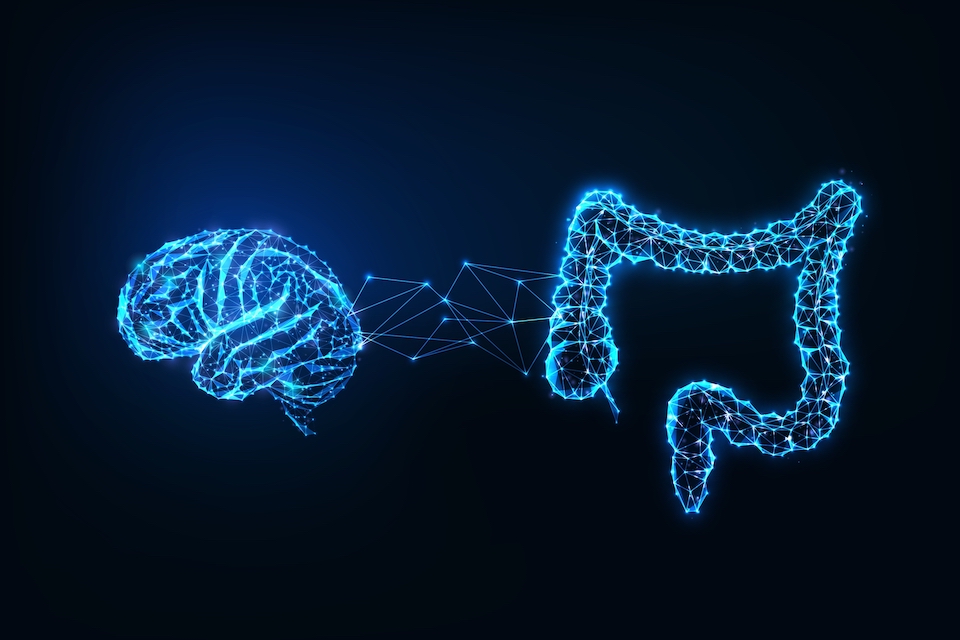 Bloom Science Announces Positive Topline Data from a Phase 1 Clinical Trial