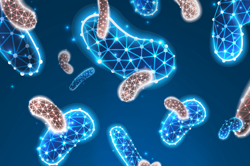 Protective particles allow engineered probiotics to report gut disease