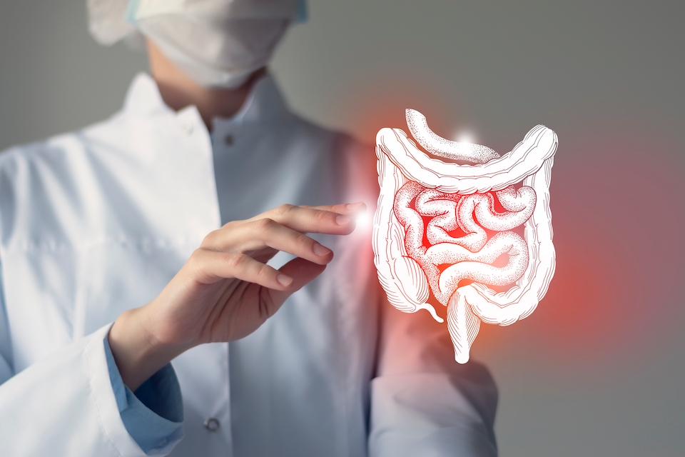 First Patient Dosed in Phase 2 Clinical Trial of Vedanta’s VE202 for the Treatment of Ulcerative Colitis