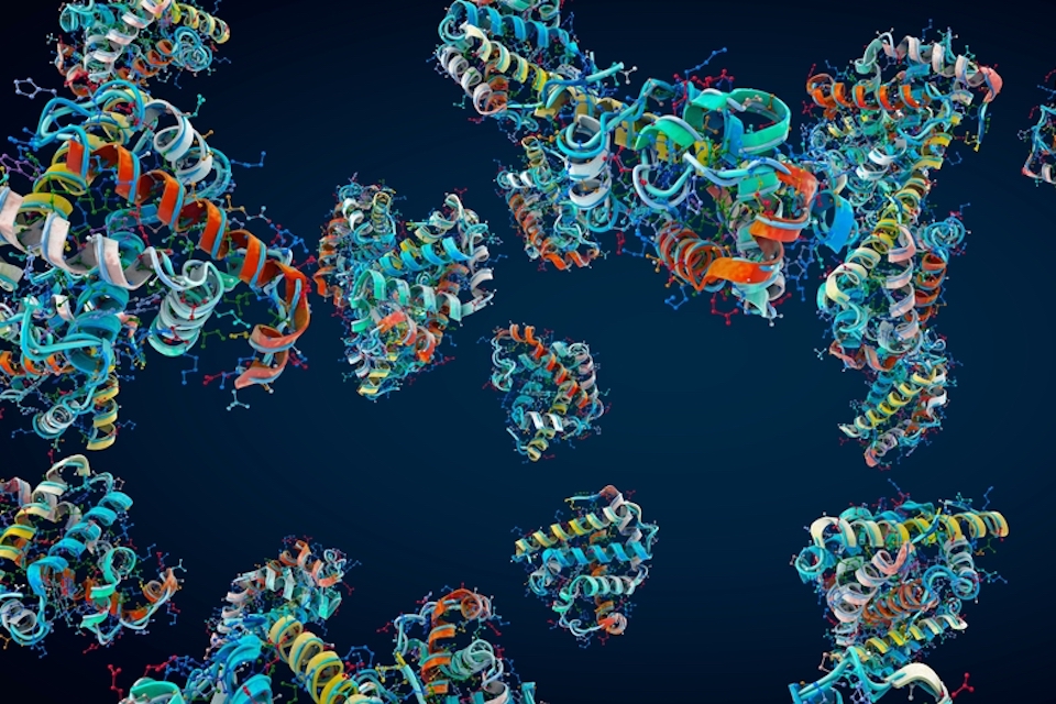 Using a novel computational approach, researchers confirm microbial diversity is wilder than ever.