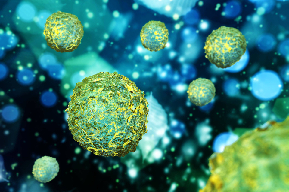 MaaT Pharma Announces First Patient Dosed in Phase 2b Randomized Clinical Trial Evaluating MaaT033 in Patients Receiving Allo-HSCT