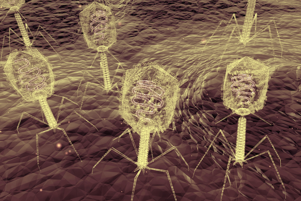 Atopic dermatitis: Viruses discovered as new therapy option