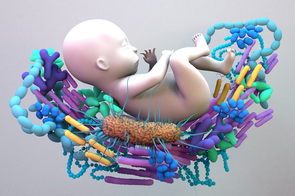 FDA cracks down on illegal probiotic product usage for hospitalised preterm infants