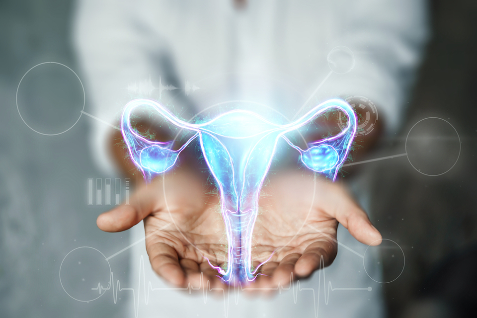 Freya Biosciences Announces $38 Million Funding in One of the Largest Series A Raises to Advance Women’s Reproductive Immunotherapies