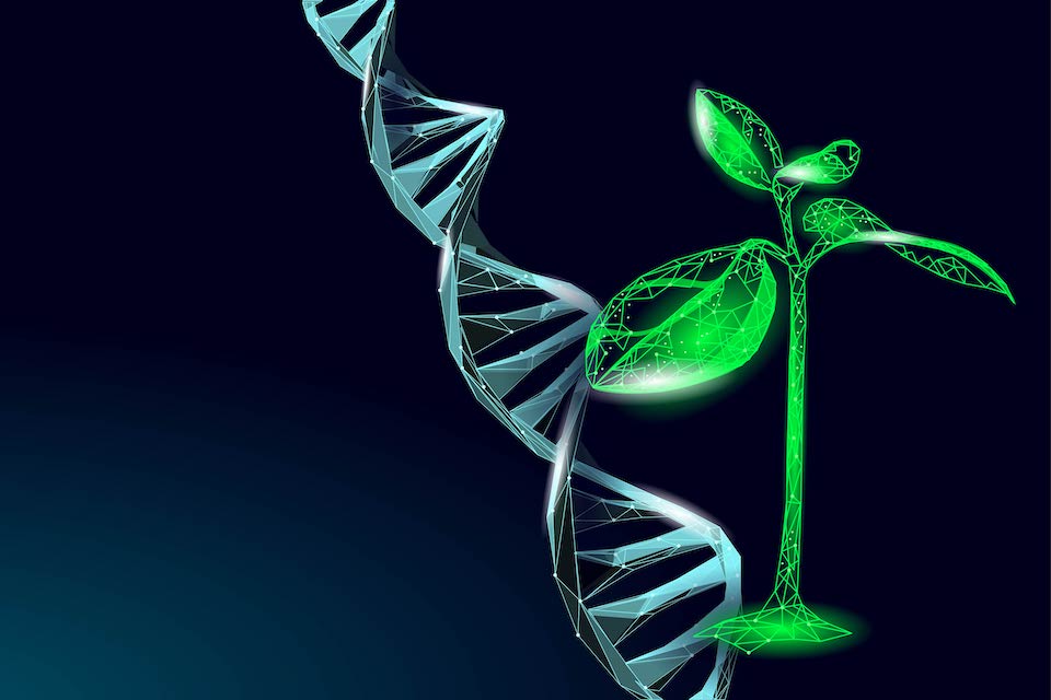 Eligo Bioscience Raises $30 Million To Write a Novel Chapter for Genetic Medicines