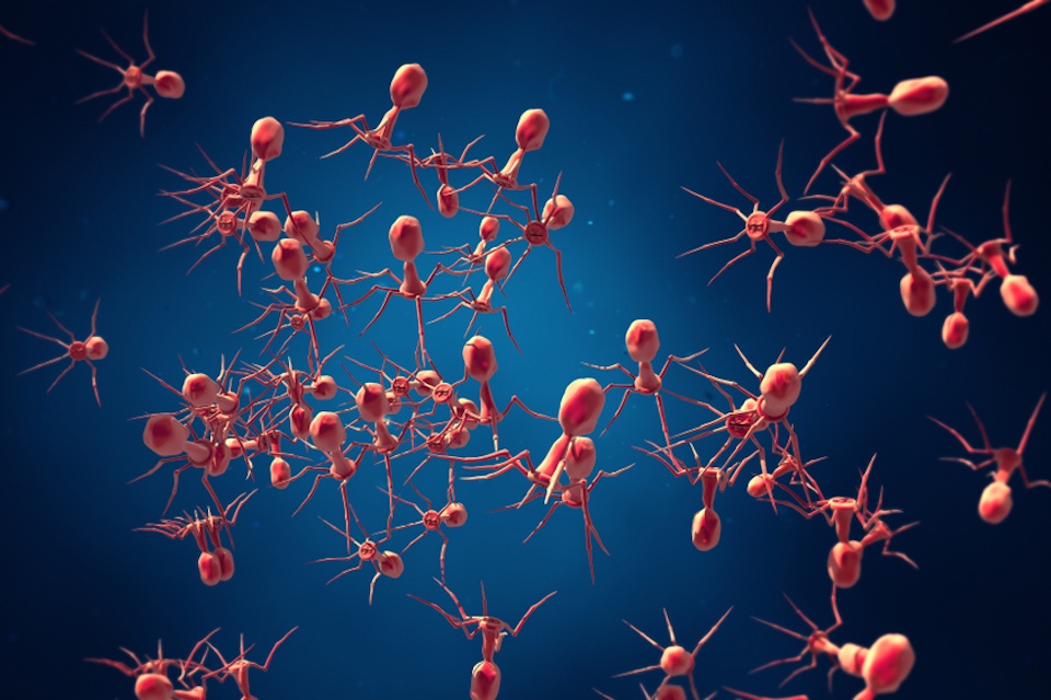 Researchers discover link between stress and the gut virome