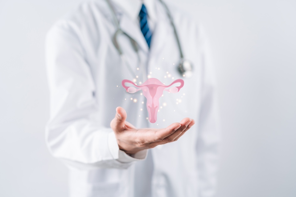 Multi-strain probiotic therapy shows promise in preventing bacterial vaginosis recurrence