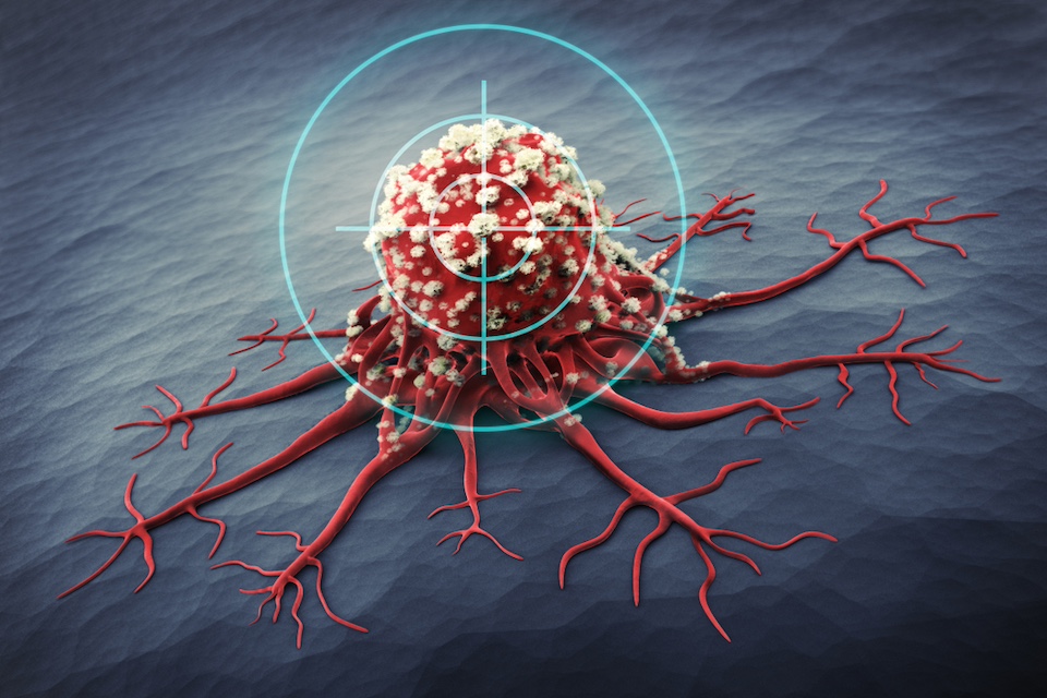 Neobe Therapeutics Raises Over $2m For Synthetic Biology Enabled Tumour Microenvironment Remodelling