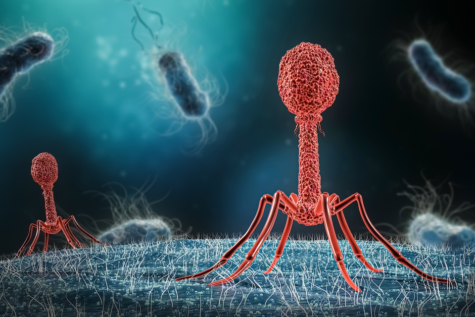 BiomX Announces Entry into Merger Agreement with Adaptive Phage Therapeutics and Concurrent $50M Financing