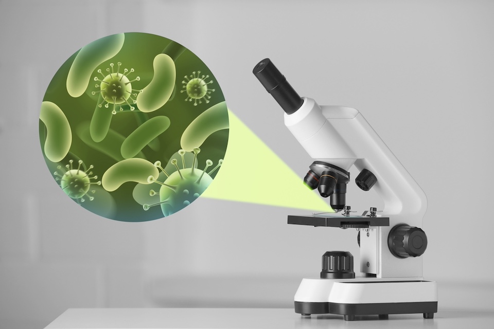 Dutch cabinet allocates €200 million for Holomicrobiome Institute