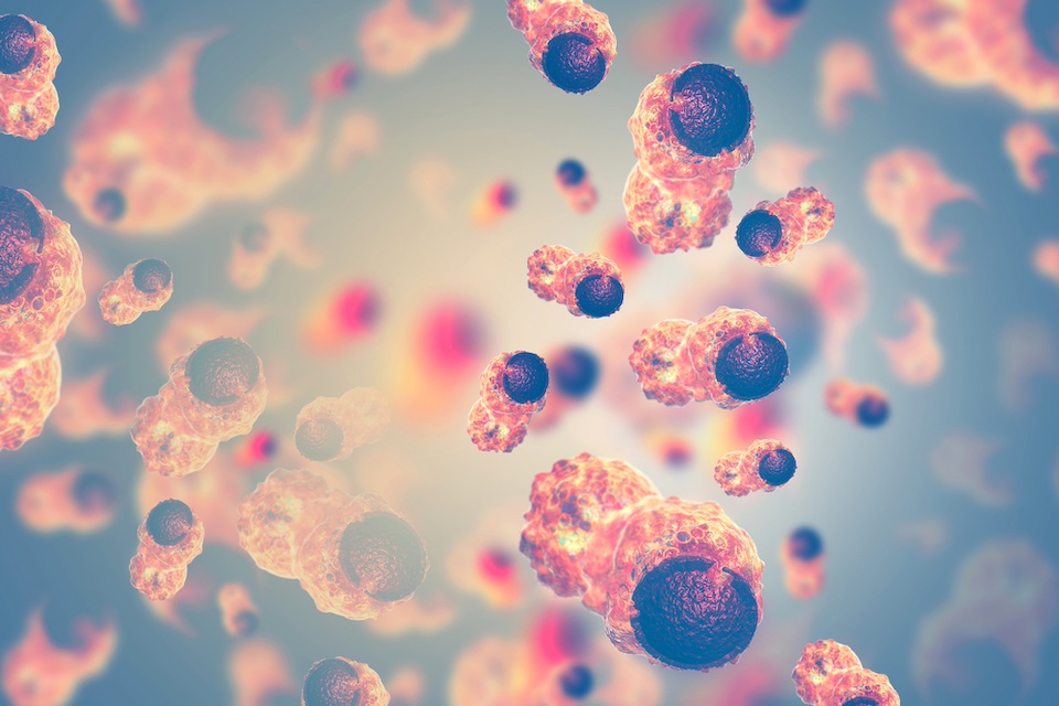 New microbiome insights could help boost immunotherapy for a range of rare cancers