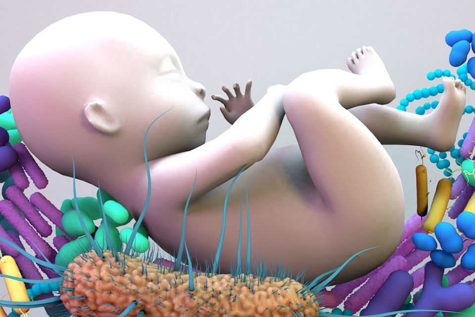Lallemand Health Solutions and dsm-firmenich:  New Partnership for Early-Life Synbiotic Solutions