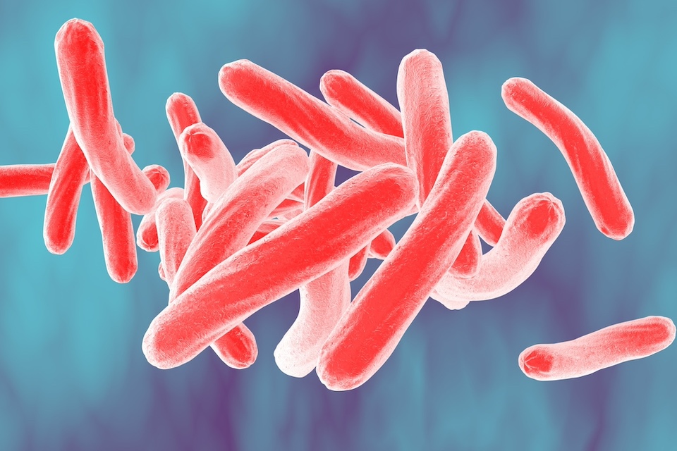 New enzymatic cocktail can kill tuberculosis-causing mycobacteria