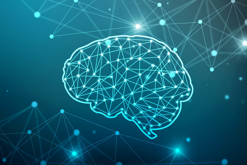 Resiliency shaped by activity in the gut microbiome and brain