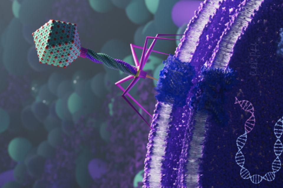 Eligo Publishes a Landmark Study in Nature That Unlocks Genome Editing of Bacteria in the Gut