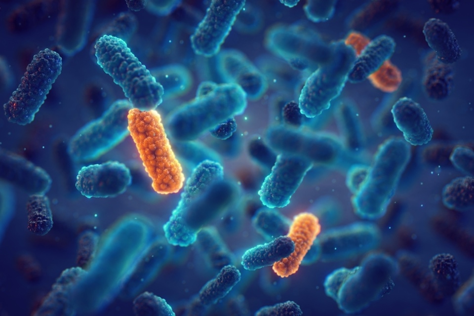 Mining the microbiome: Uncovering new antibiotics inside the human gut