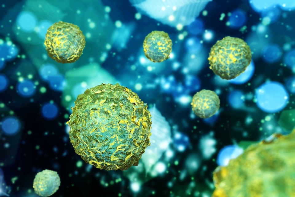 Seres Therapeutics Reports SER-155 Phase 1b Placebo-Controlled Cohort 2 Study Safety and Clinical Results