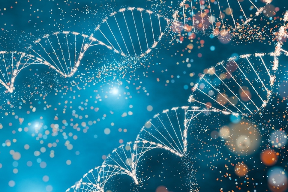 Revealing the mysteries within microbial genomes