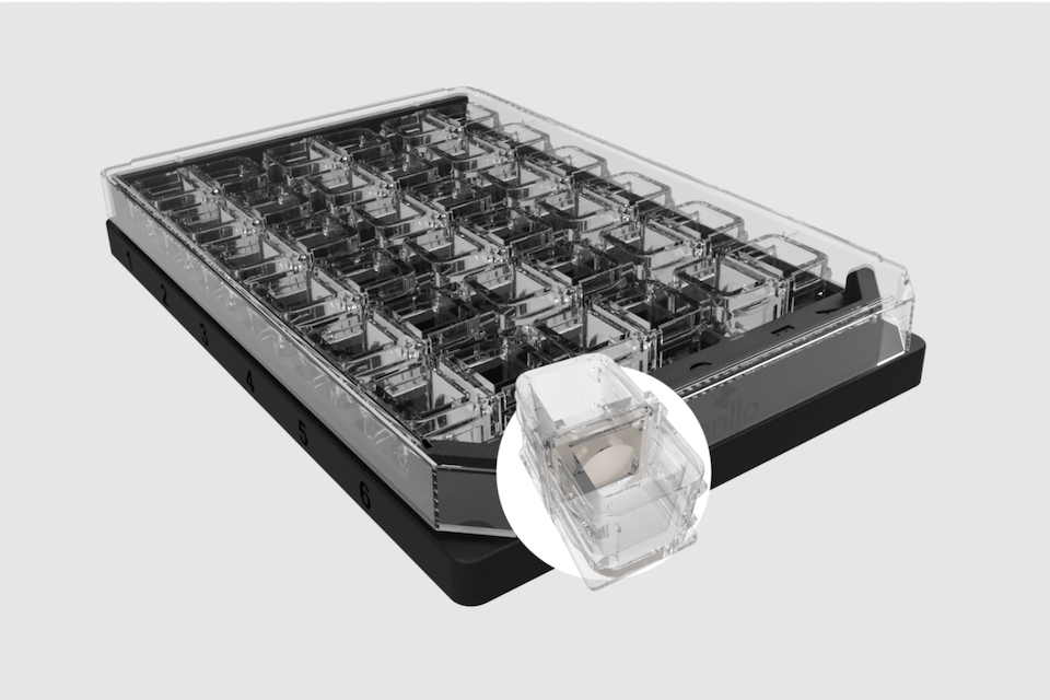 Cerillo Introduces First Standardized Co-Culture System Revolutionizing Microbial Interaction and Isolation Studies