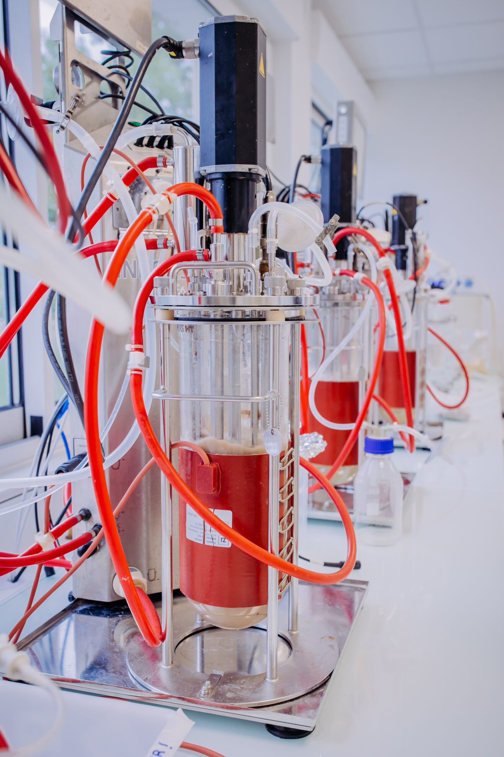 Meermand Lab Lallemand’s New R&D Laboratories: An Exclusive Interview with Sylvie ...