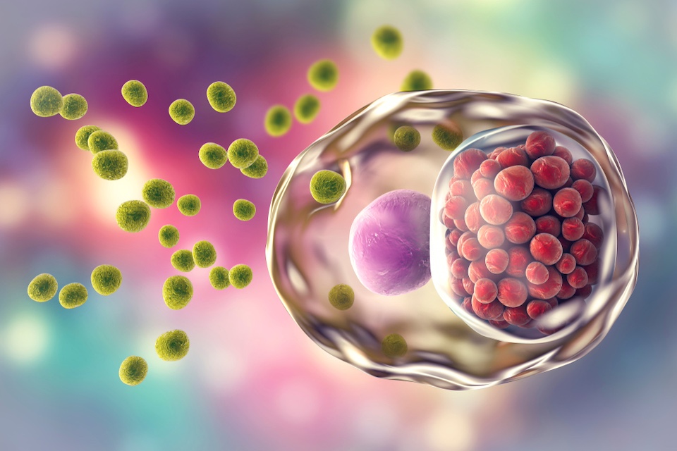 Changes in microbiome predict risk for sexually transmitted disease