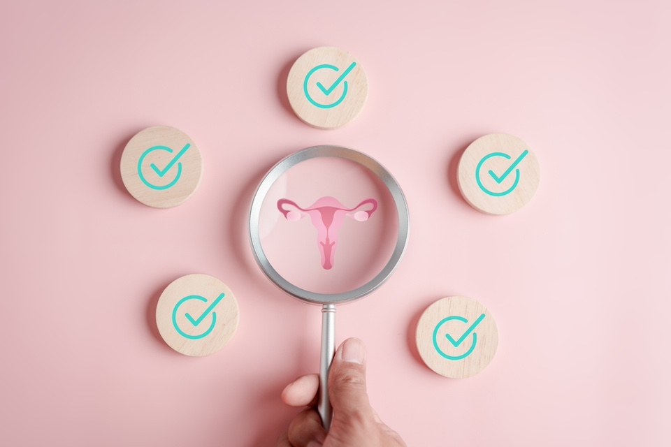 Global “sisterhood” seeks to understand what makes a healthy vaginal microbiome