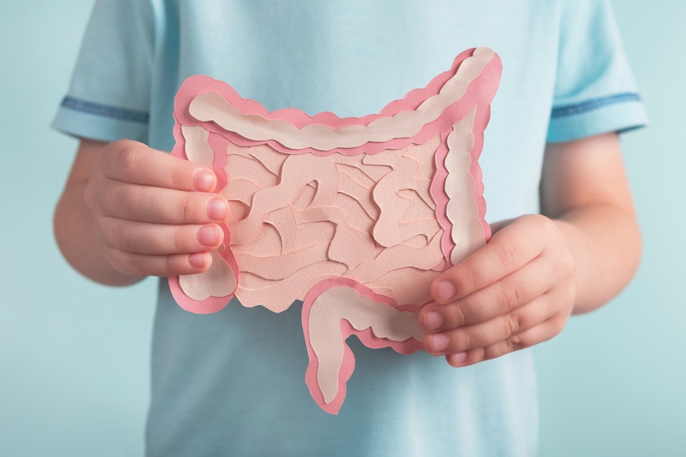 Scientists find gut-brain link that may affect behavior in children with autism