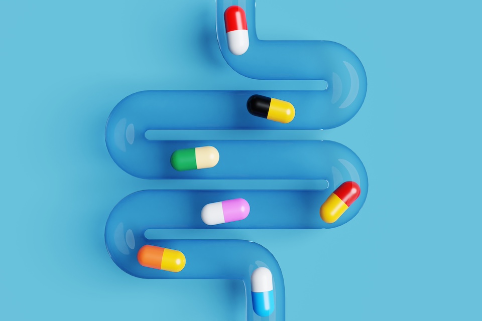 Some gut bacteria could make certain drugs less effective