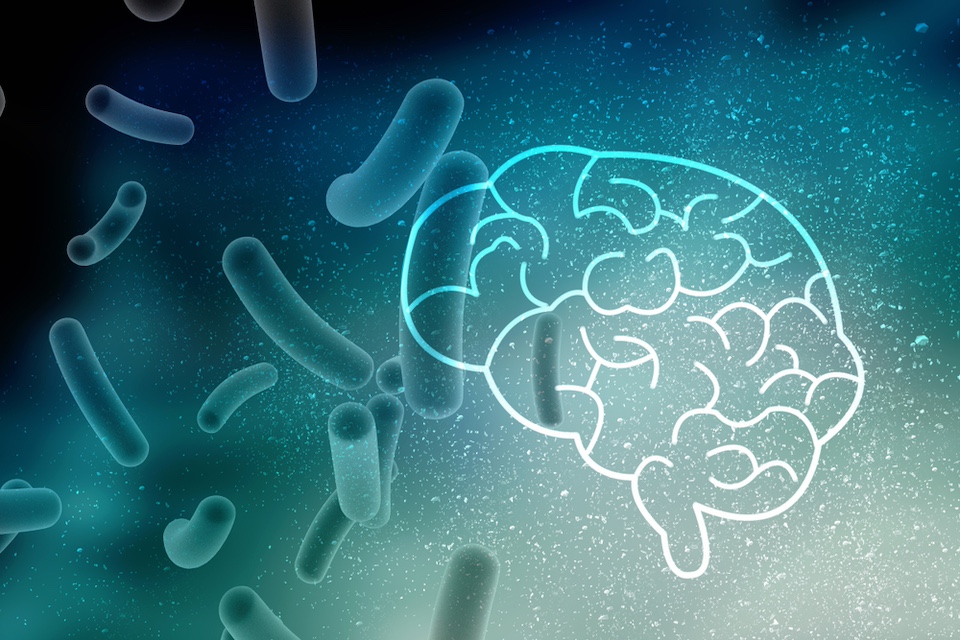 New UK research network to unlock gut, immune and brain health links