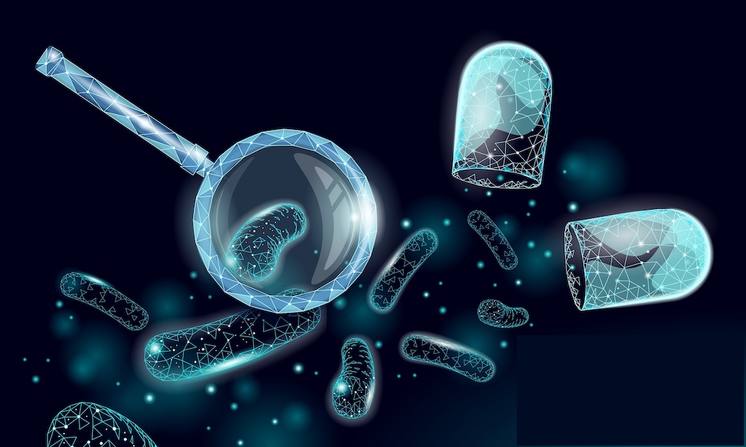 Experts publish first global framework for quantifying postbiotics