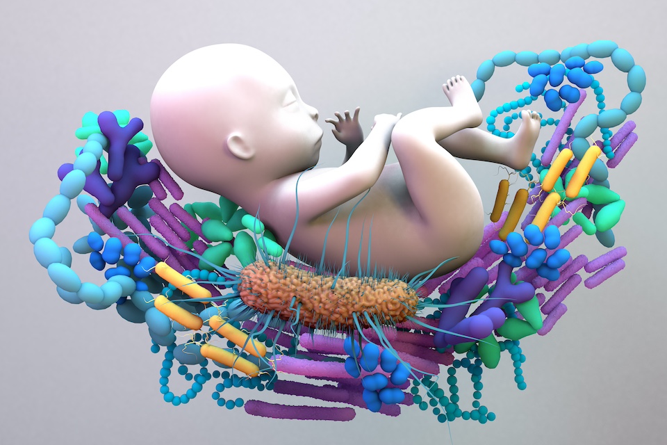 Missing microbes in UK infant gut and probiotics highlighted by global microbiome atlas