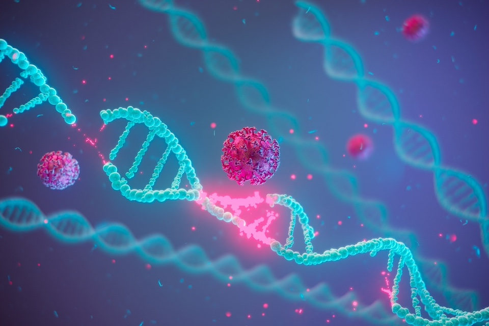 CRISPR study reveals surprising role of Cas9 as a guardian of bacterial defence