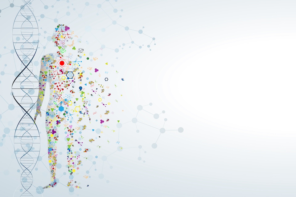 Connection among gut fungi, genetics and disease risk in humans identified